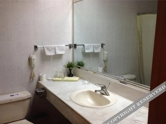 Puyang Hotel - фото 4