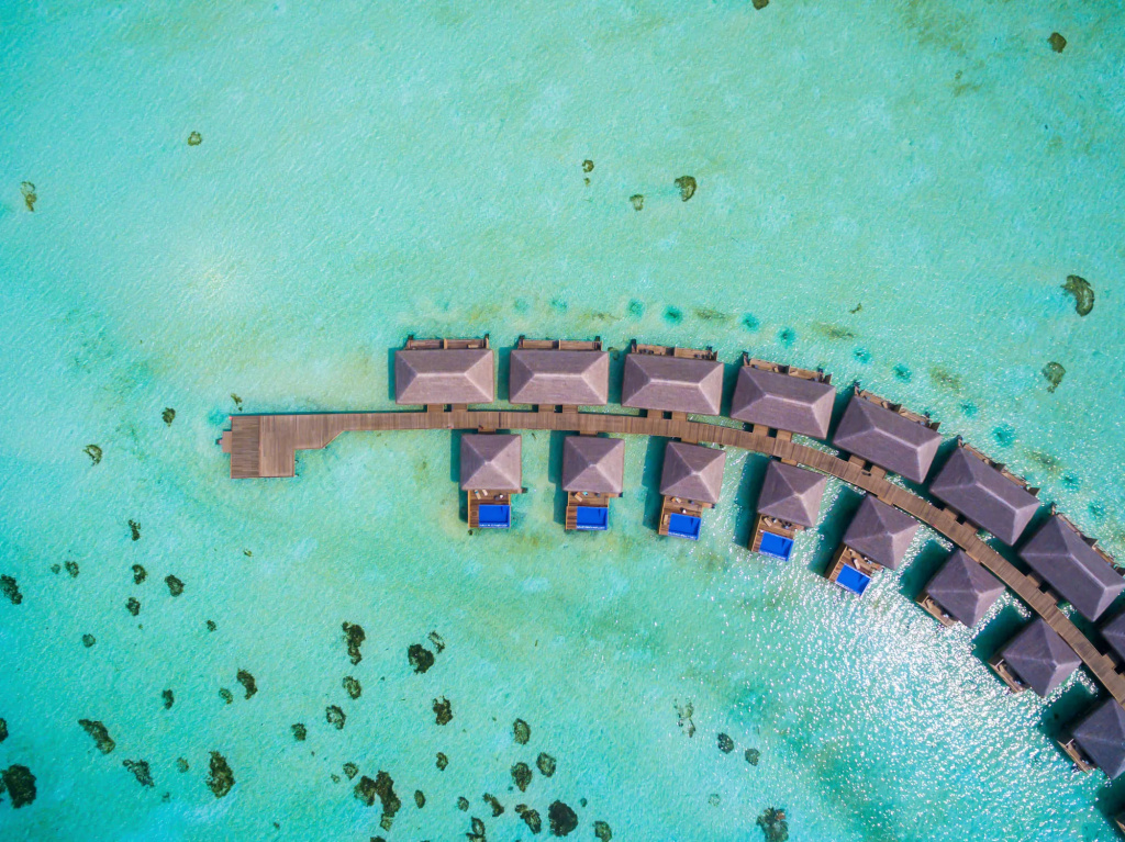 Cocoon Maldives - Général