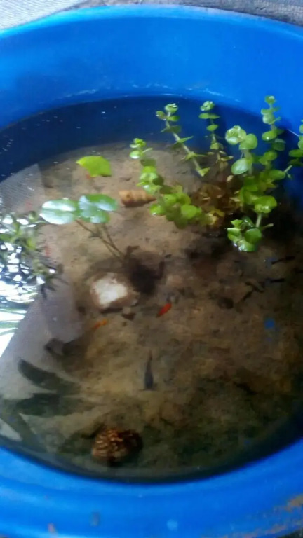 Kaween Homestay - фото 30