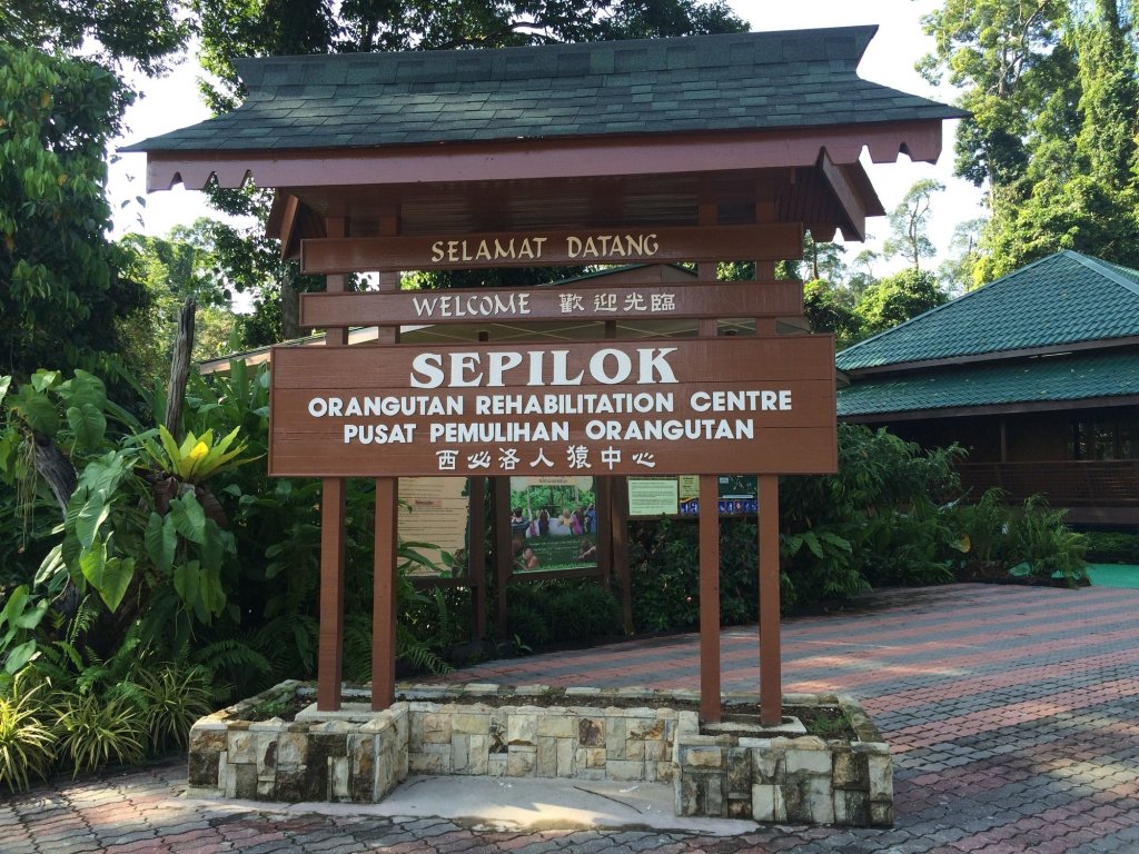 Nature Lodge Sepilok (by Nasalis Larvatus Tours Sdn Bhd), Sandakan, Sabah. image