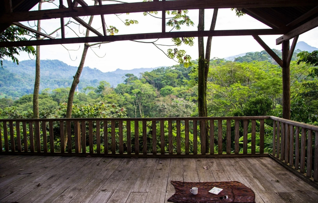 Balcony & Terrace