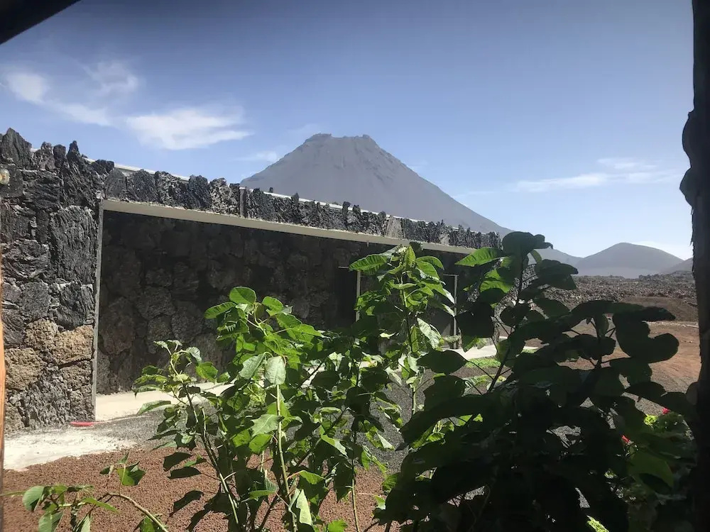 Oasis Coba Tina