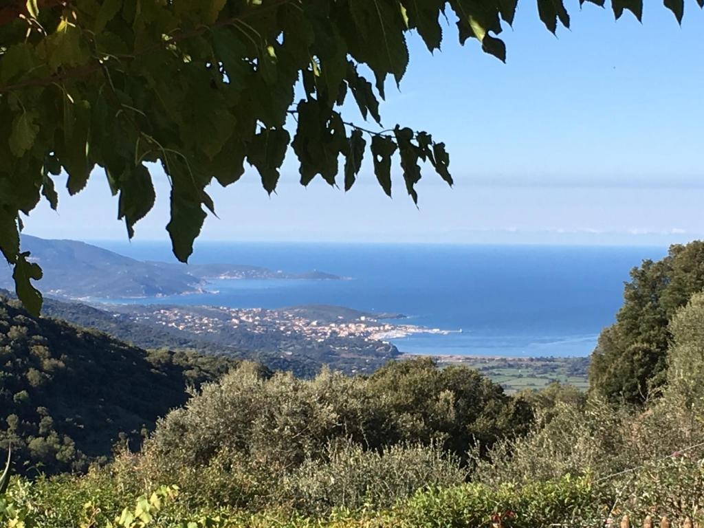 Gîtes ruraux Aria Falcona