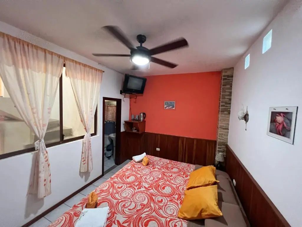 Sun Island - Chambres