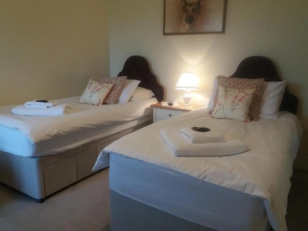Standard Double room (twin beds)