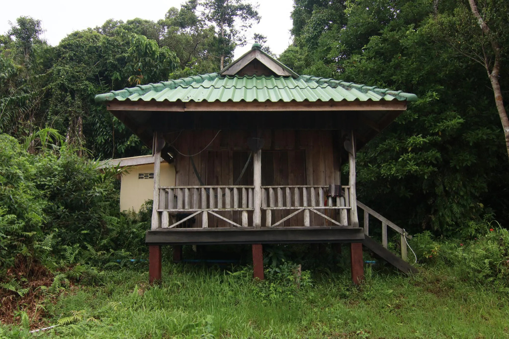 Double Bungalow with garden view full double bed