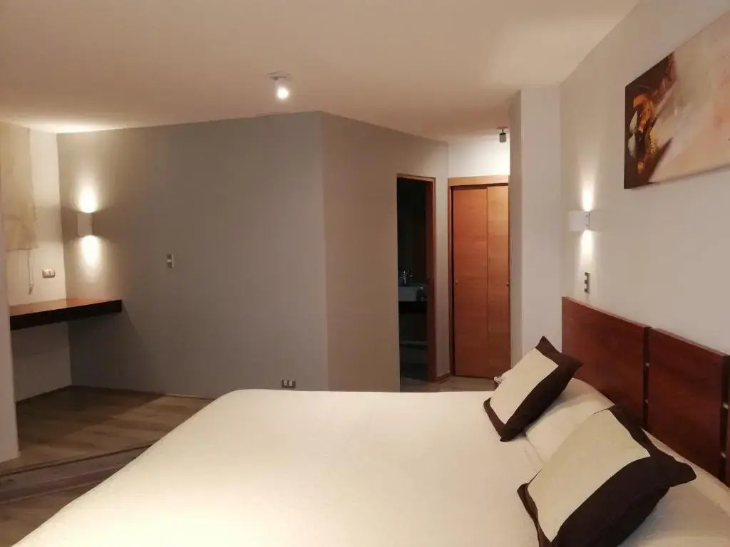 Hotel Montecarlo Santiago - Général
