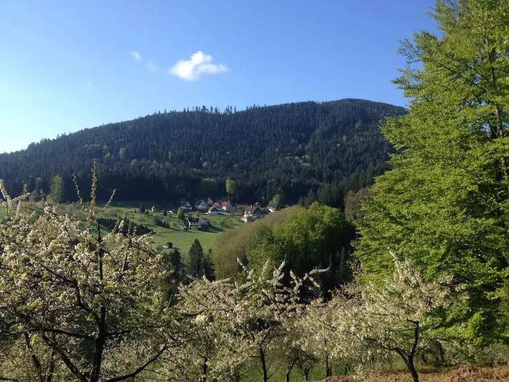 Höhenhotel & Restaurant Kalikutt - Général