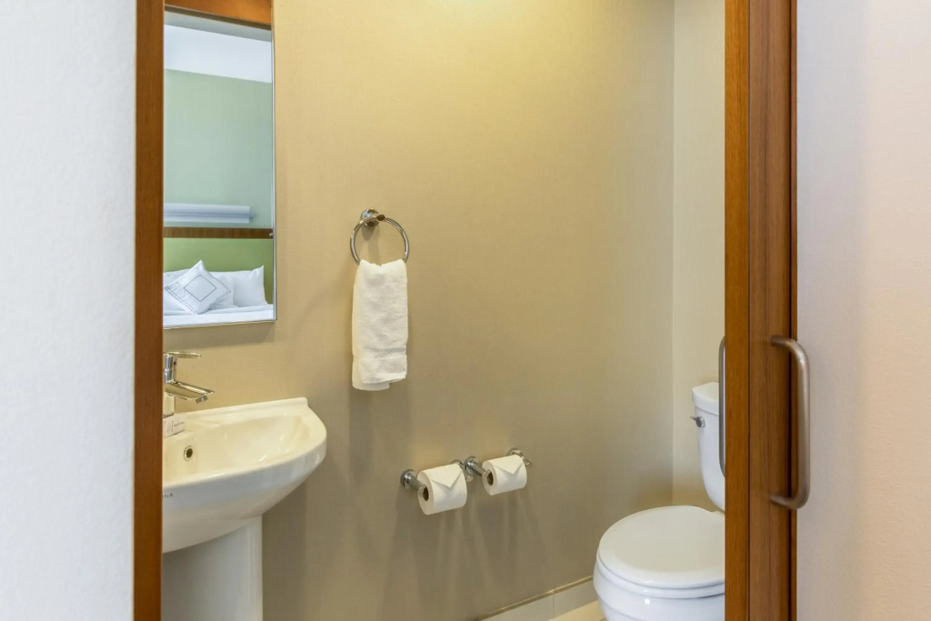 SpringHill Suites Houston Rosenberg - Général
