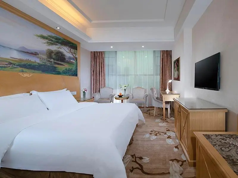 Vienna Hotel Guangdong Dongguan Tangxia South High-Speed Railway Station - Chambres