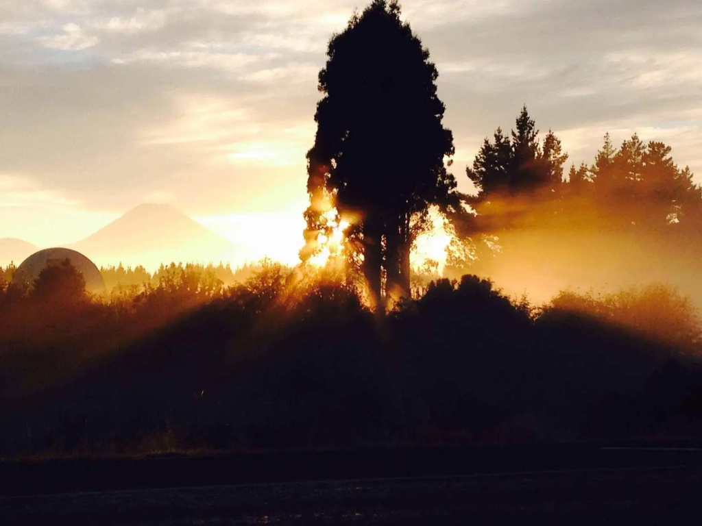 The Park Hotel Ruapehu - Général