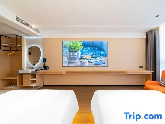 Standard Double Attic room (twin beds)