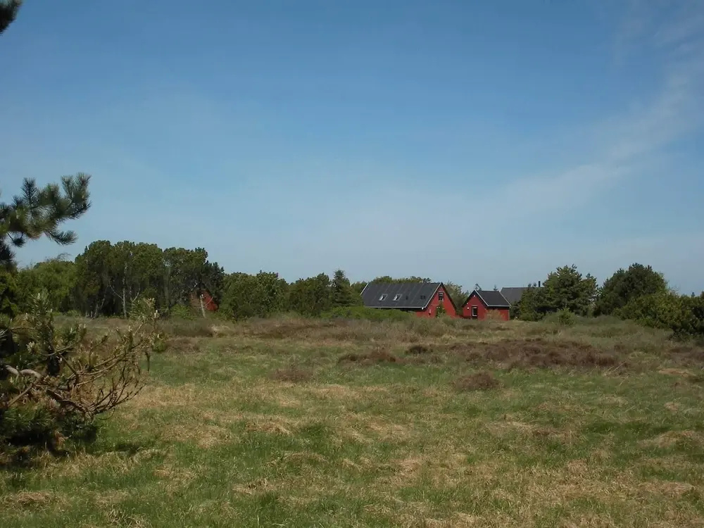 4 Star Holiday Home in Skagen