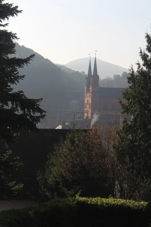 Hotel Am Hirschhorn - Chambres