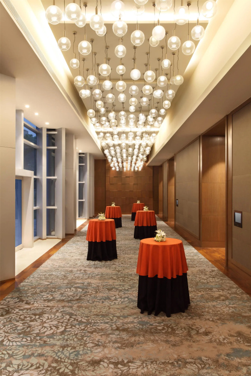 Hyatt Regency Ahmedabad - Général