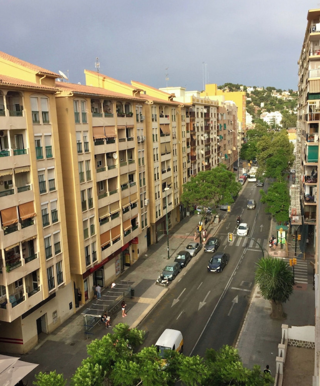 Malaga Palo