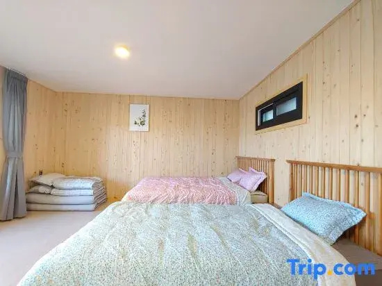 Deluxe Double room (full double bed)