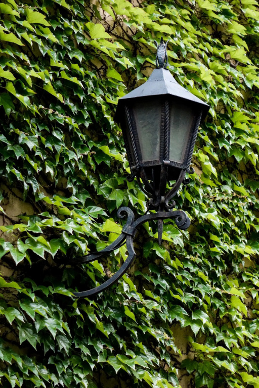 Tulip Inn Vienna Thringer Hof