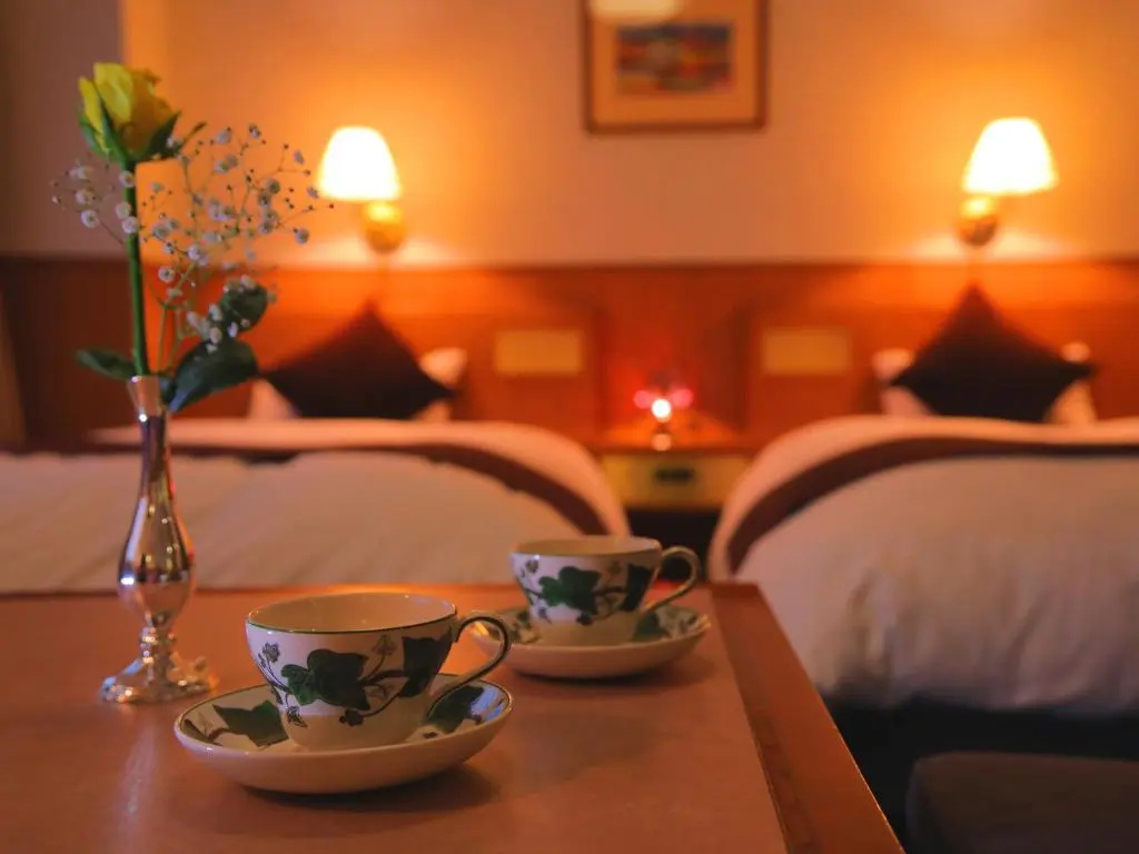 Deluxe Double room (twin beds)