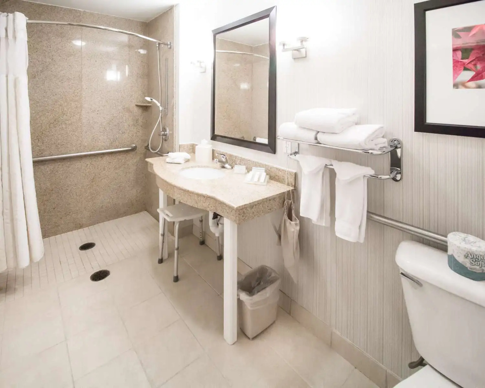 Hilton Garden Inn Avondale - Général