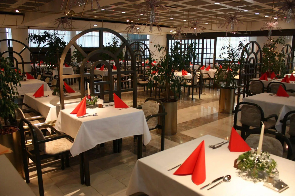 Alp Hotel - Général