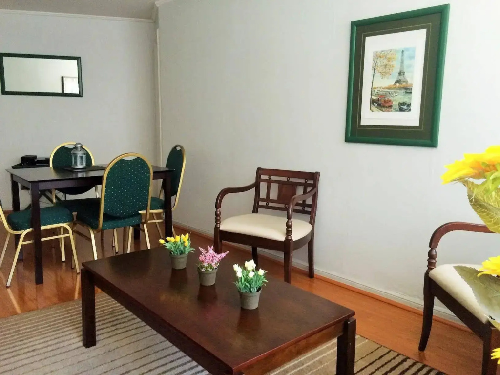 Aconcagua Apart Hotel - Général