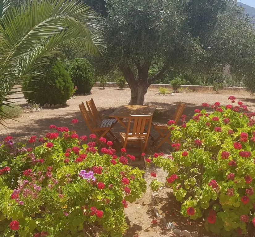 Tilos Fantasy Apartments - фото 11