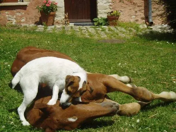 Family & Kids