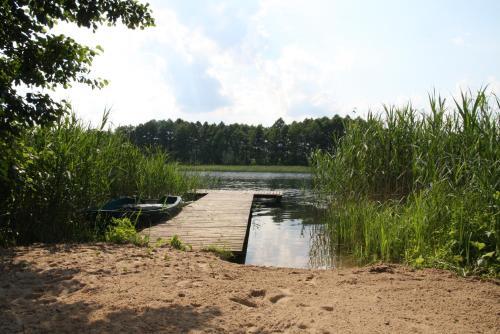 Image 15