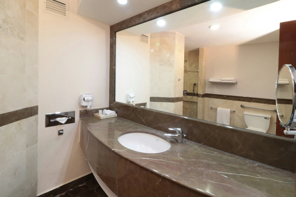 Holiday Inn Express San Luis Potosi by IHG - Général