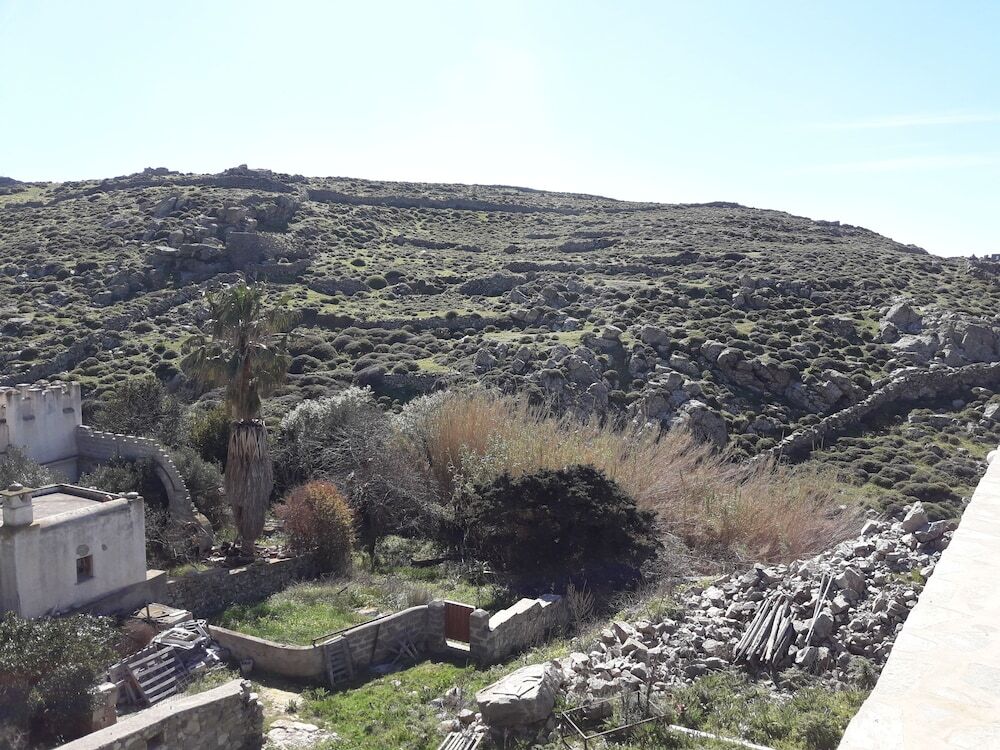 Image 13