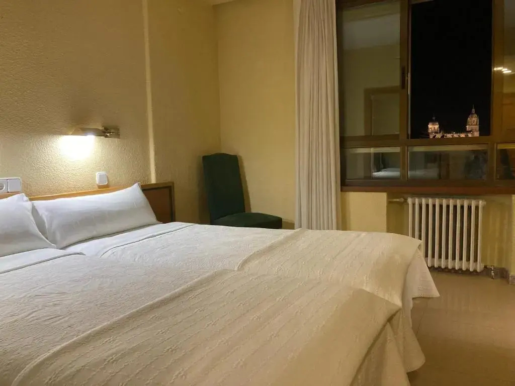 Standard Double room with city view (twin beds)