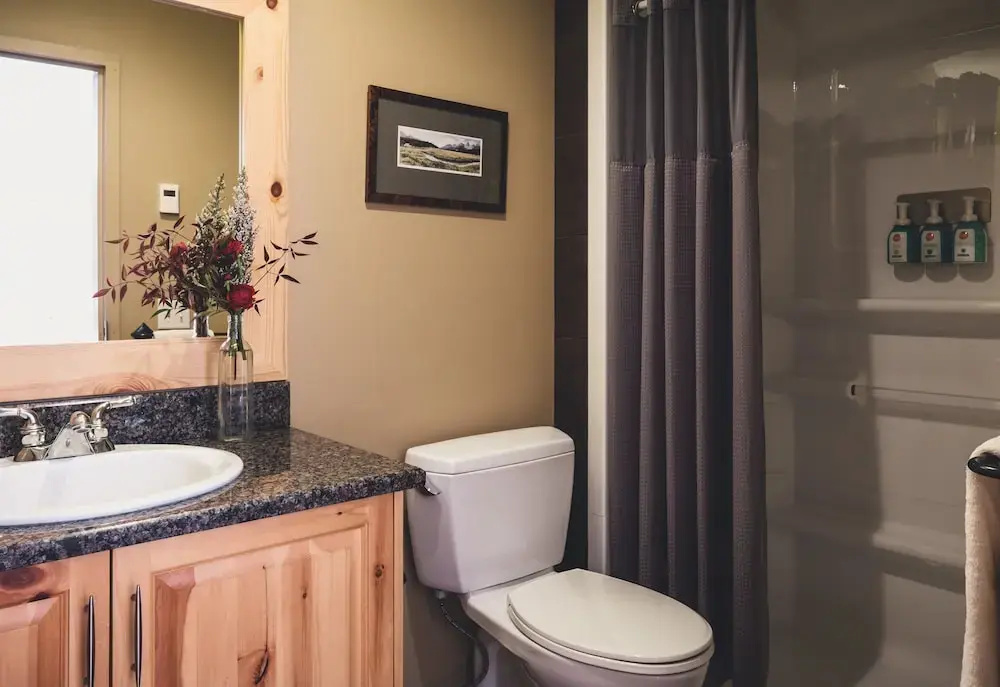 1 Bedroom Standard Double room with mountain view (full double bed)