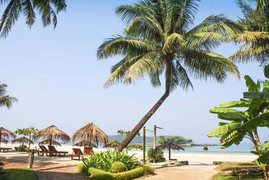 Pleasant View Resort - Général