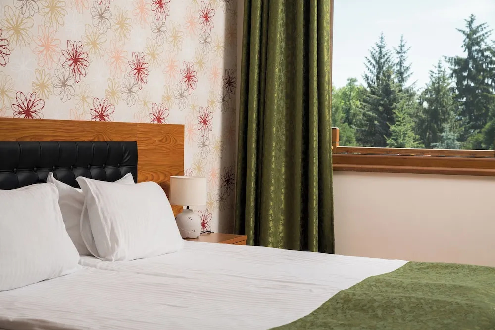 Hotel Elbrus SPA & Wellness - Général