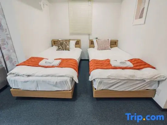 Standard Double room (twin beds)