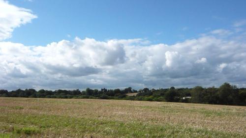 Knelle Dower Studio - фото 6