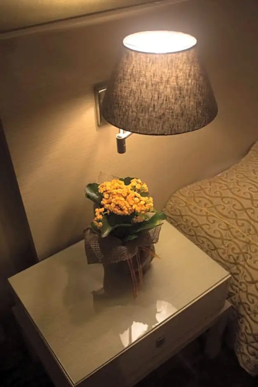 Davitel Tobacco Hotel - Chambres