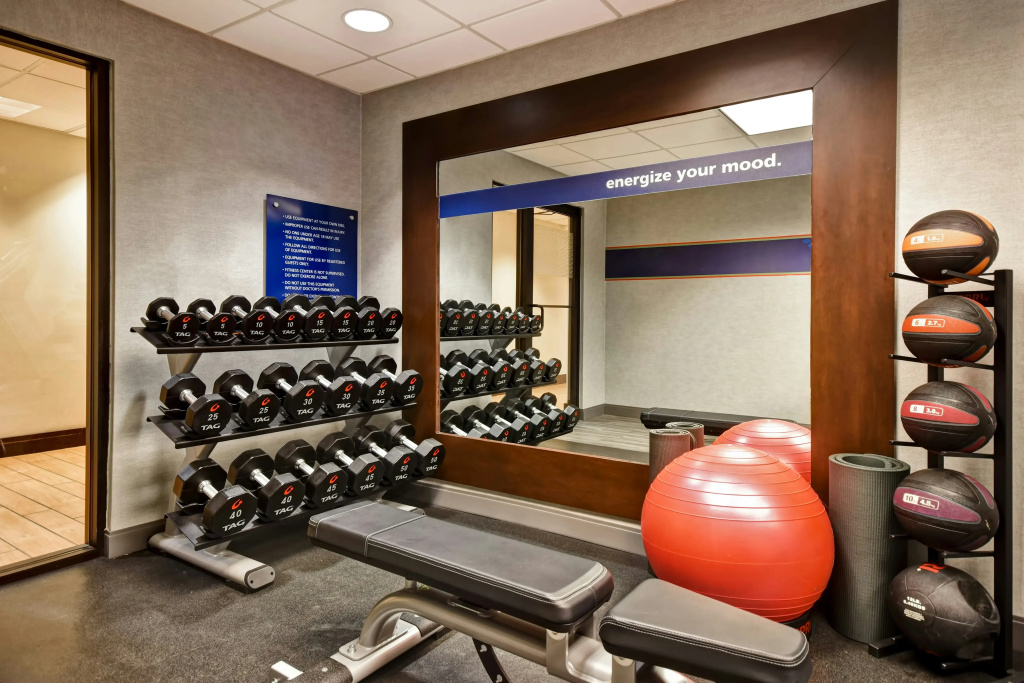 Hampton Inn Atlanta-Mall Of Georgia - Général