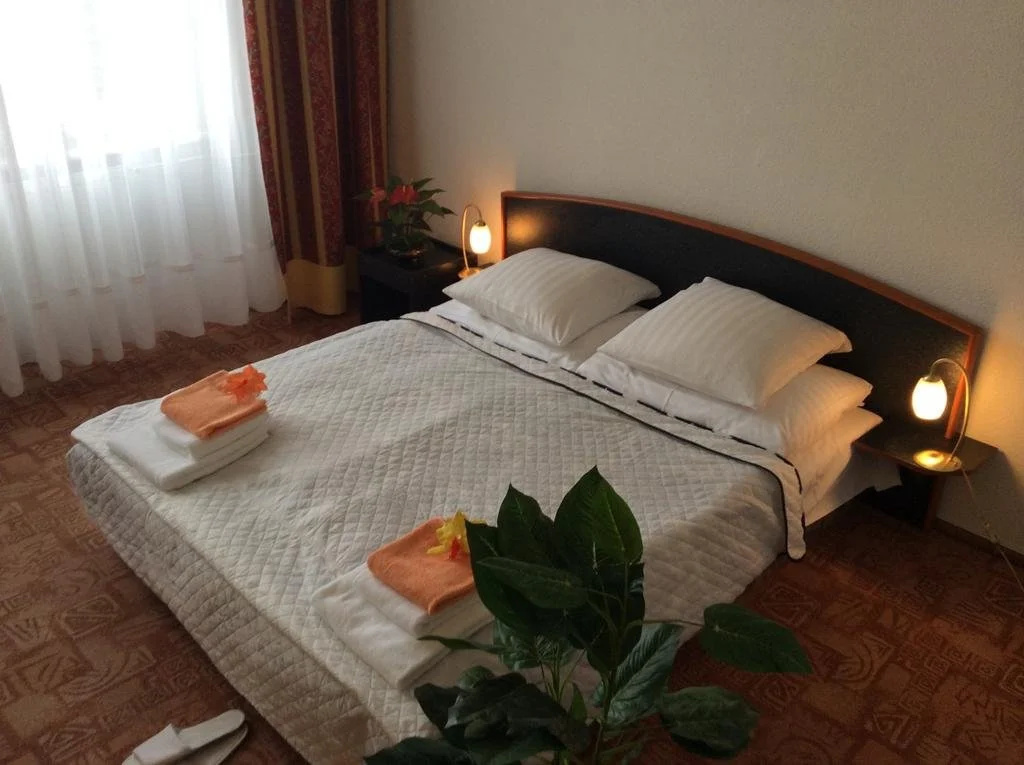 Hotel Šumava - Général