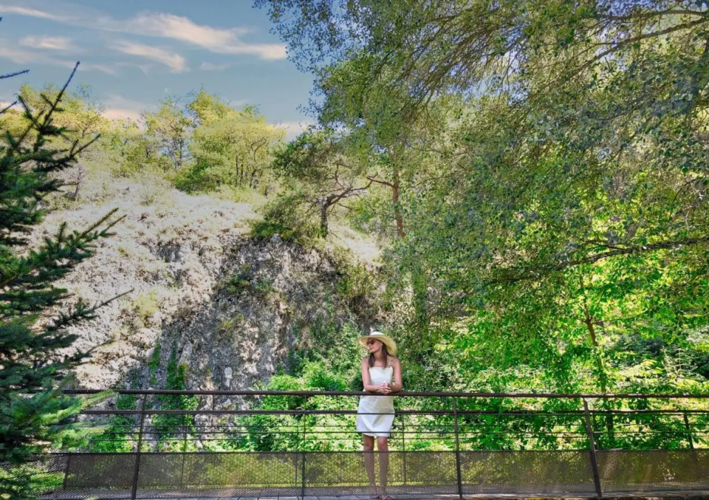 Domaine Ribiera, Hotel 5 Etoiles, SPA & Golf - Forcalquier - Général
