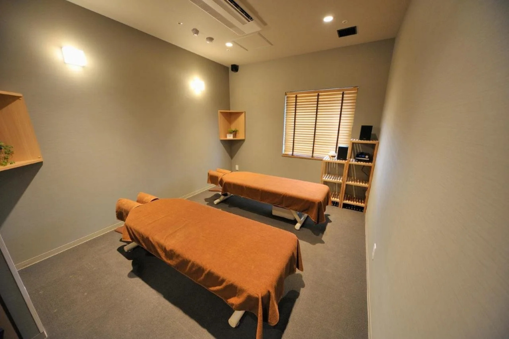 Dormy Inn Ueno Okachimachi Hot Spring - Général