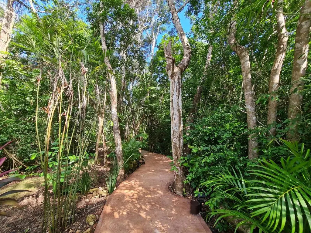 Secret Gardens Bacalar Suite 01 con alberca y bicicletas