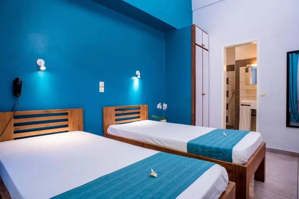 Standard Double room (twin beds)