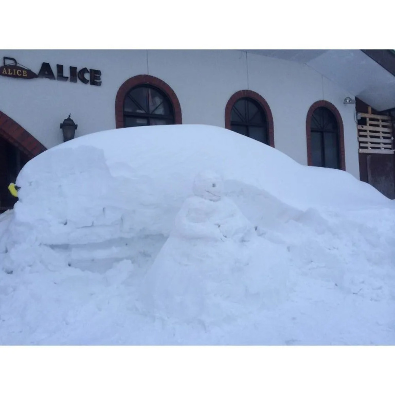 WHITE RABBIT Madarao Kogen - Cottage ALICE