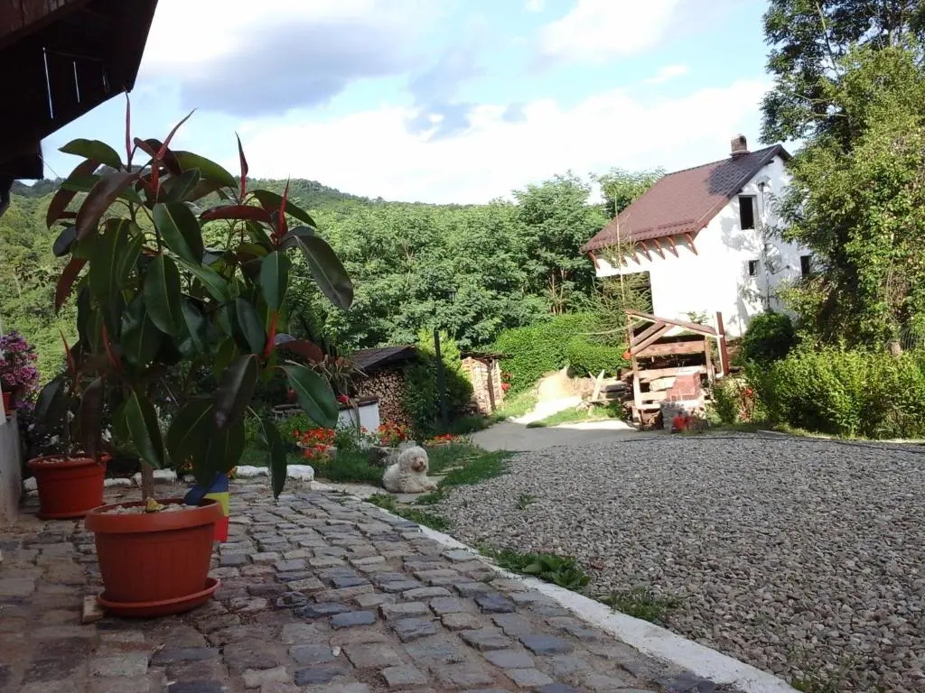 Cottage