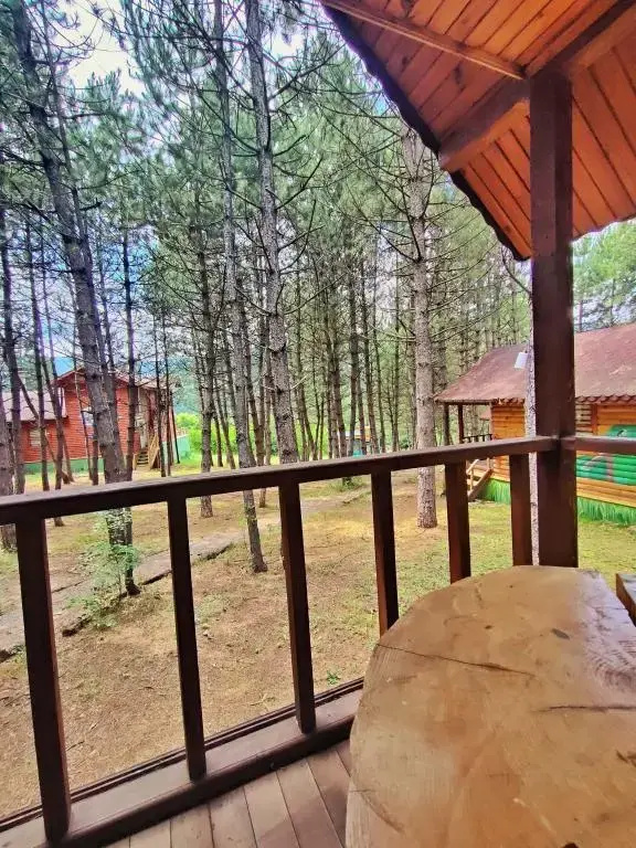 Balcony & Terrace