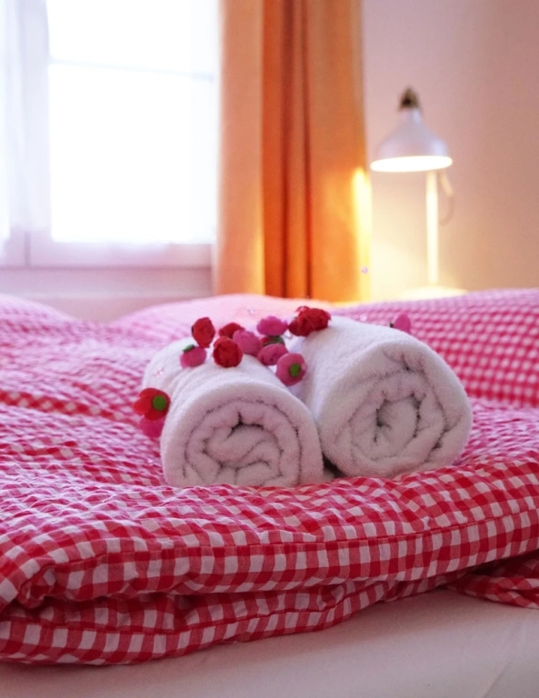 Standard Double room with mountain view (full double bed)