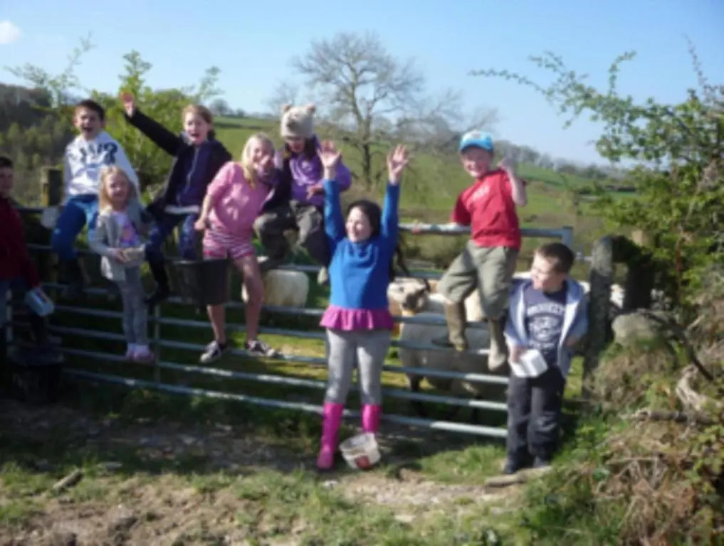 The Mill House at Cwmiar Farm - Relaxing Holidays