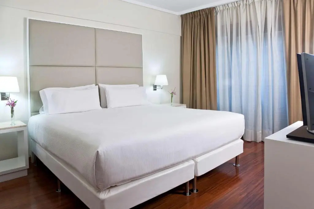 Standard New Style Double room (full double bed)